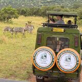 Gorilla Exclusive Safaris