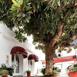 Casa Rabida