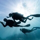 Nemo'z Diving Center Moorea
