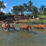 Rancho el Contento