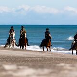 Bay Of Plenty Horse Adventures