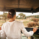 Heartland Safaris Limited
