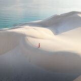 Traveling Socotra