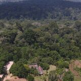 Mpanga Nature Center, Uganda.