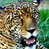 Ecoverde Tours