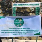 Kilimigration Tanzania Tours