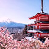 Wabisabi private tours Japan