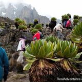 real outreach mission tours