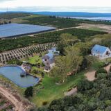 Addo Dung Beetle Guest farm
