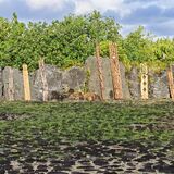 Mirimiri Tours Raiatea