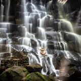 Tour Activity Bali
