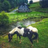 Mountain Magic Resort