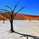 Rafiki Tours and Safaris Cc