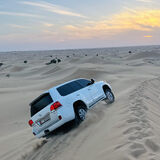 Visitors Destination Tours