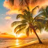 Sunset Getaway