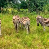 Best Of Africa Travels Ltd
