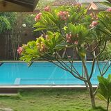 Ocean View-Negombo
