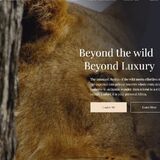 Beneber Africa Safaris