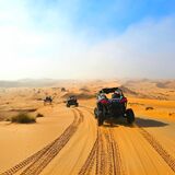 Fox ATVs