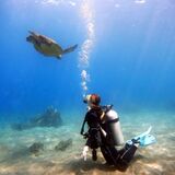 Aloha Maui Diving