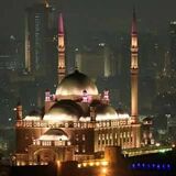 Walid