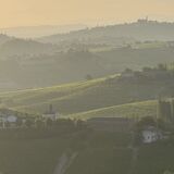 TORCHIO1953 WINERY