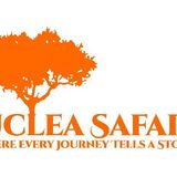 Euclea safaris