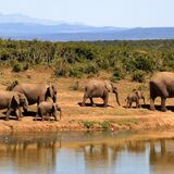 ISITOSHE TOURS AND TRAVEL