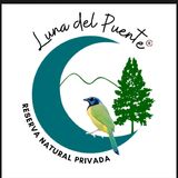 Luna del Puente