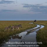 Makgadikgadi Pans Day Trip