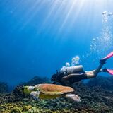 Bubbles - Club for Divers