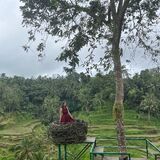 Explore bali