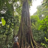 Center coffee mountain and waterfall tour