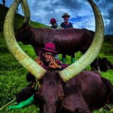 Eco Terra Vista Tours