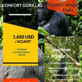 GORILLAS JUNGLE TREKS