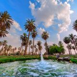 Fokharia Tour Operator