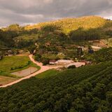 ZANDONADE CAFÉS ESPECIAIS