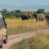Roma Tours & Safaris Kenya