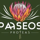 Paseos Proteas