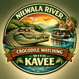 Crocodile Watching With Kavee