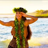ALOHA FANTASY TOURS,LLC