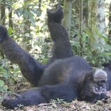 Nature Trails East Africa