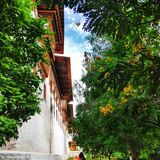 Indruka tours and travels