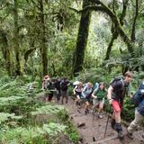 The Living Well Travel & Tours