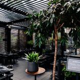 Restauracja Wieloryb Sopot