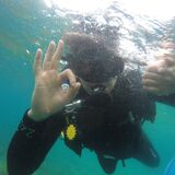Dolphins Diving Center