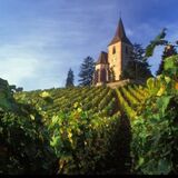WineWeinVinoVin