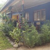 Blue Cactus Shanty