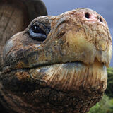Smart Galapagos