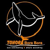 TOHORA BORA BORA